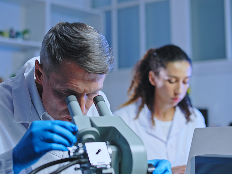 Doctor Examining Tissue